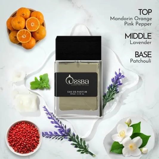 Lustra Luxury Perfume for Men and Women | Best dominating scent |100ml | Premium Unisex Eau de Parfume with Fresh and Spicy Notes , Suitable for EveryDay Use and All Special moments
